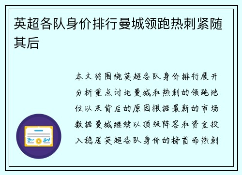 英超各队身价排行曼城领跑热刺紧随其后